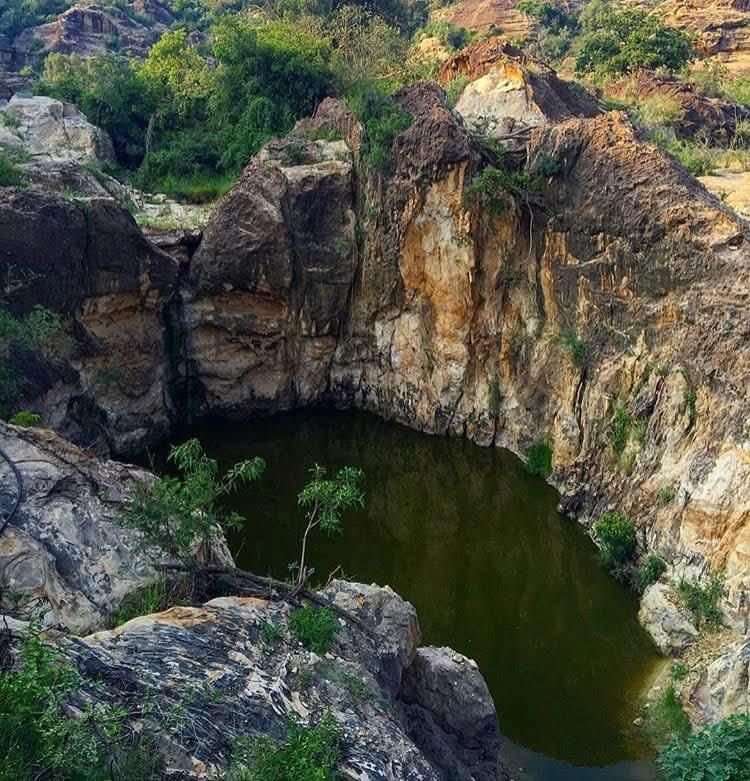 التراث المحلي